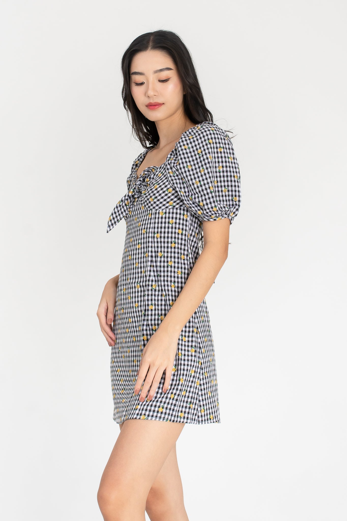 Shirlene Gingham Floral All Over Dress