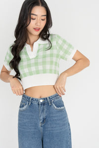 Amita Knitted Gingham Crop Top in Green